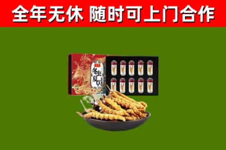 乌翠区回收冬虫夏草价格