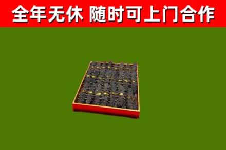 乌翠区回收海参